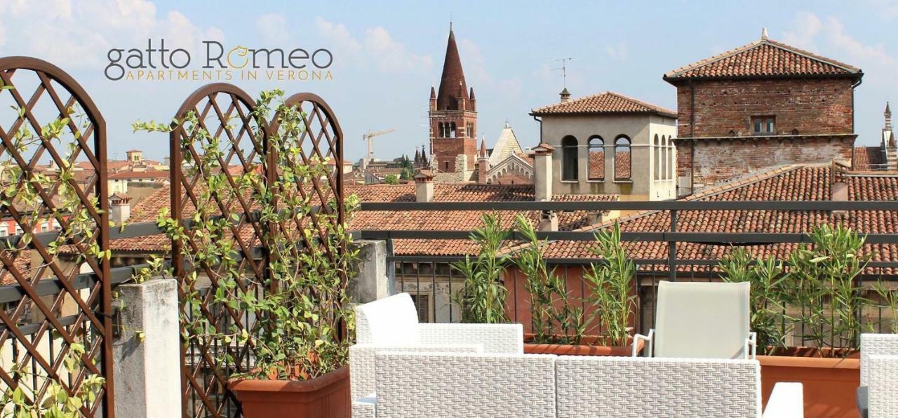 Gatto Romeo Apartments Werona Zewnętrze zdjęcie